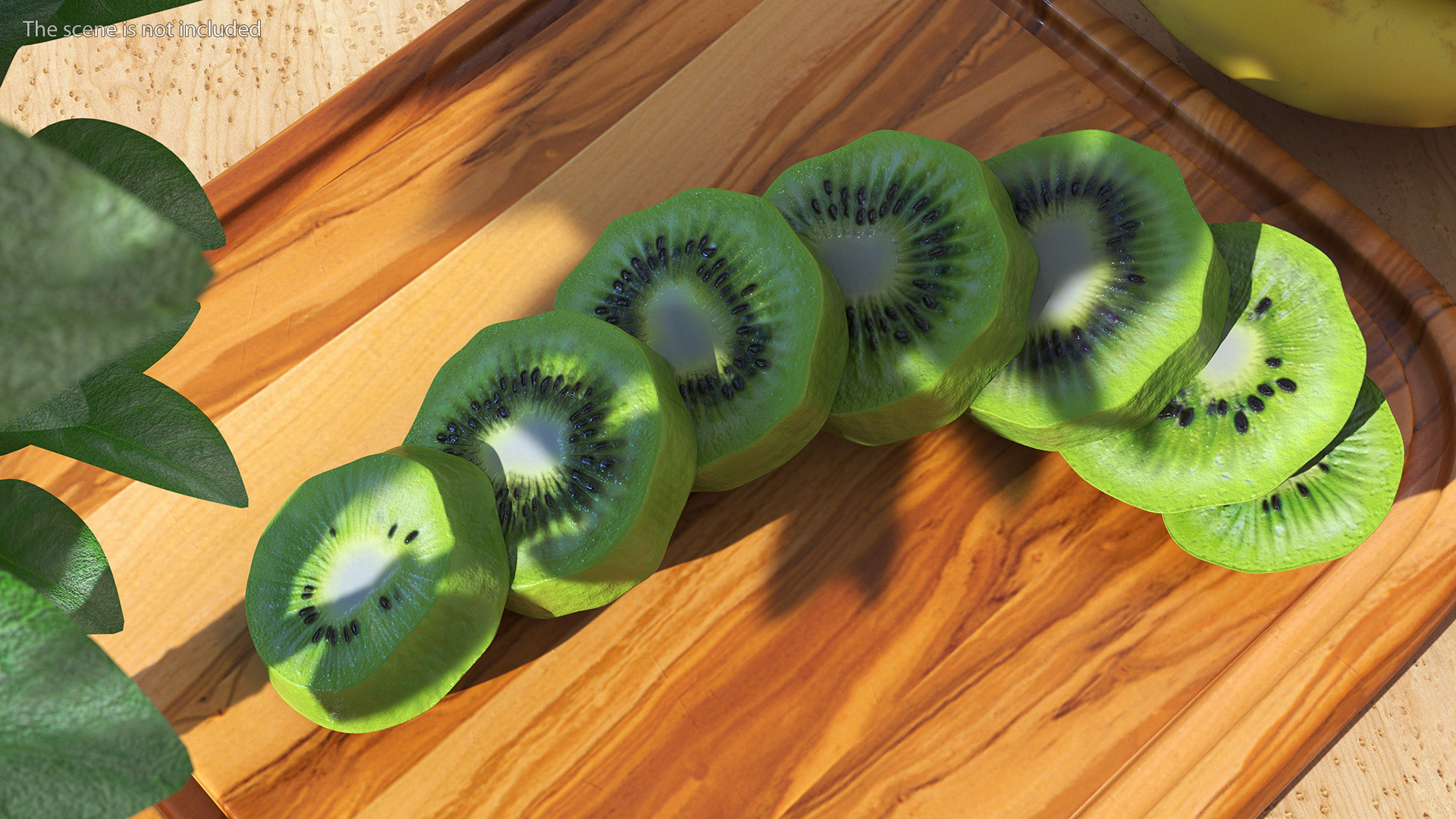 Kiwi Round Slices 3D