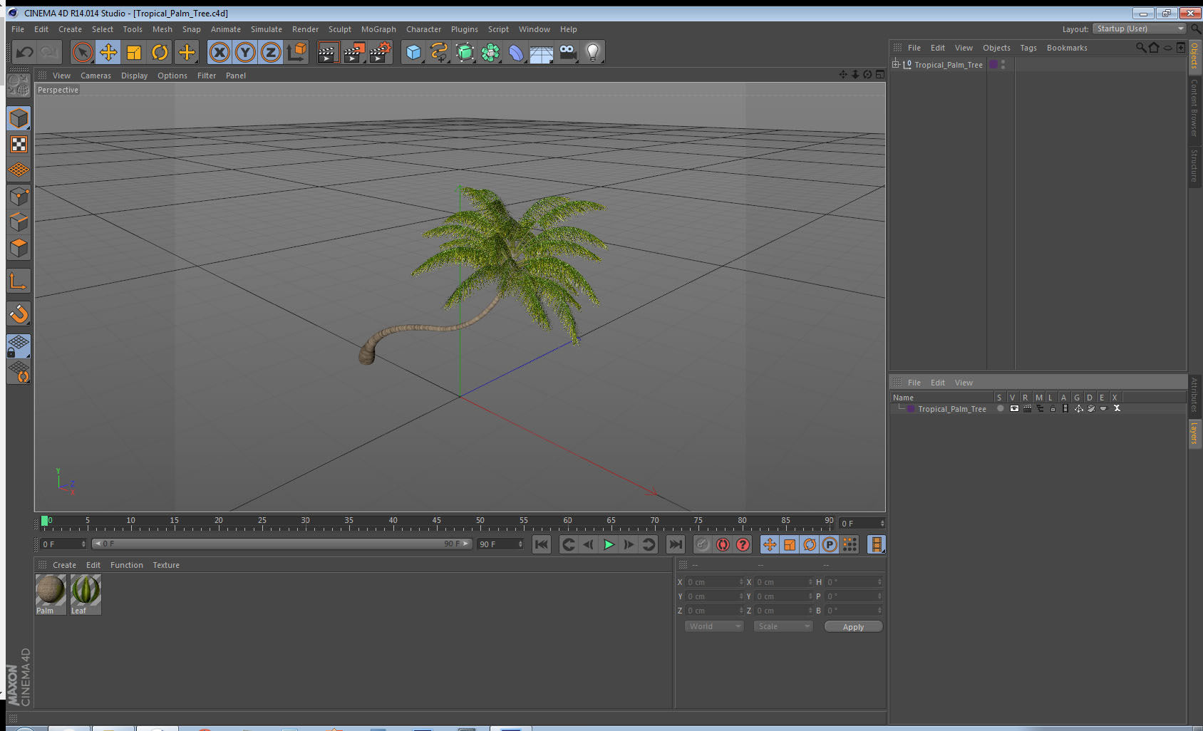 3D Tropical Palm Tree model