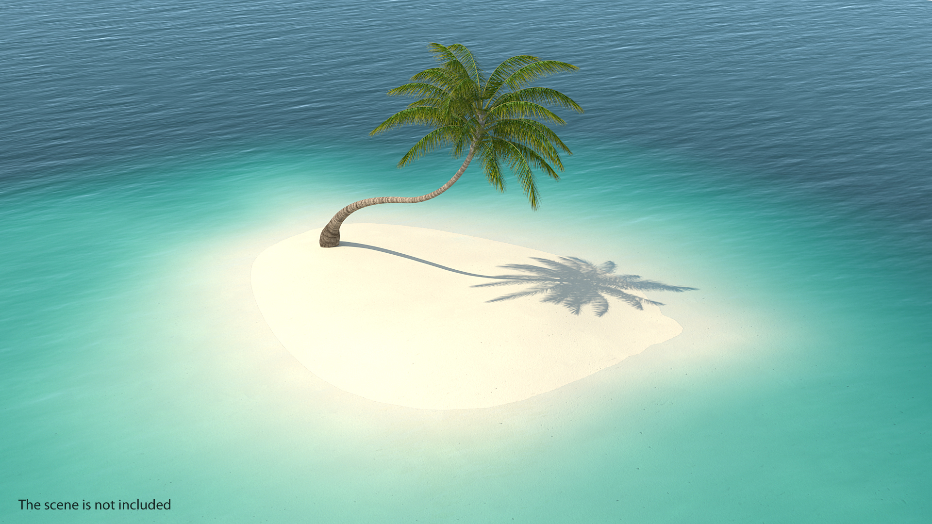 3D Tropical Palm Tree model