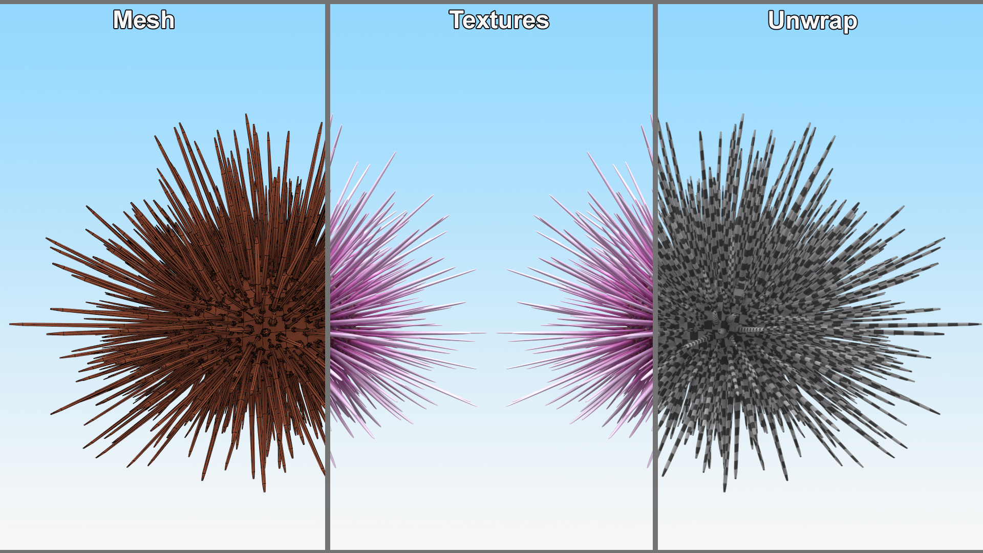 Purple Sea Urchin 3D