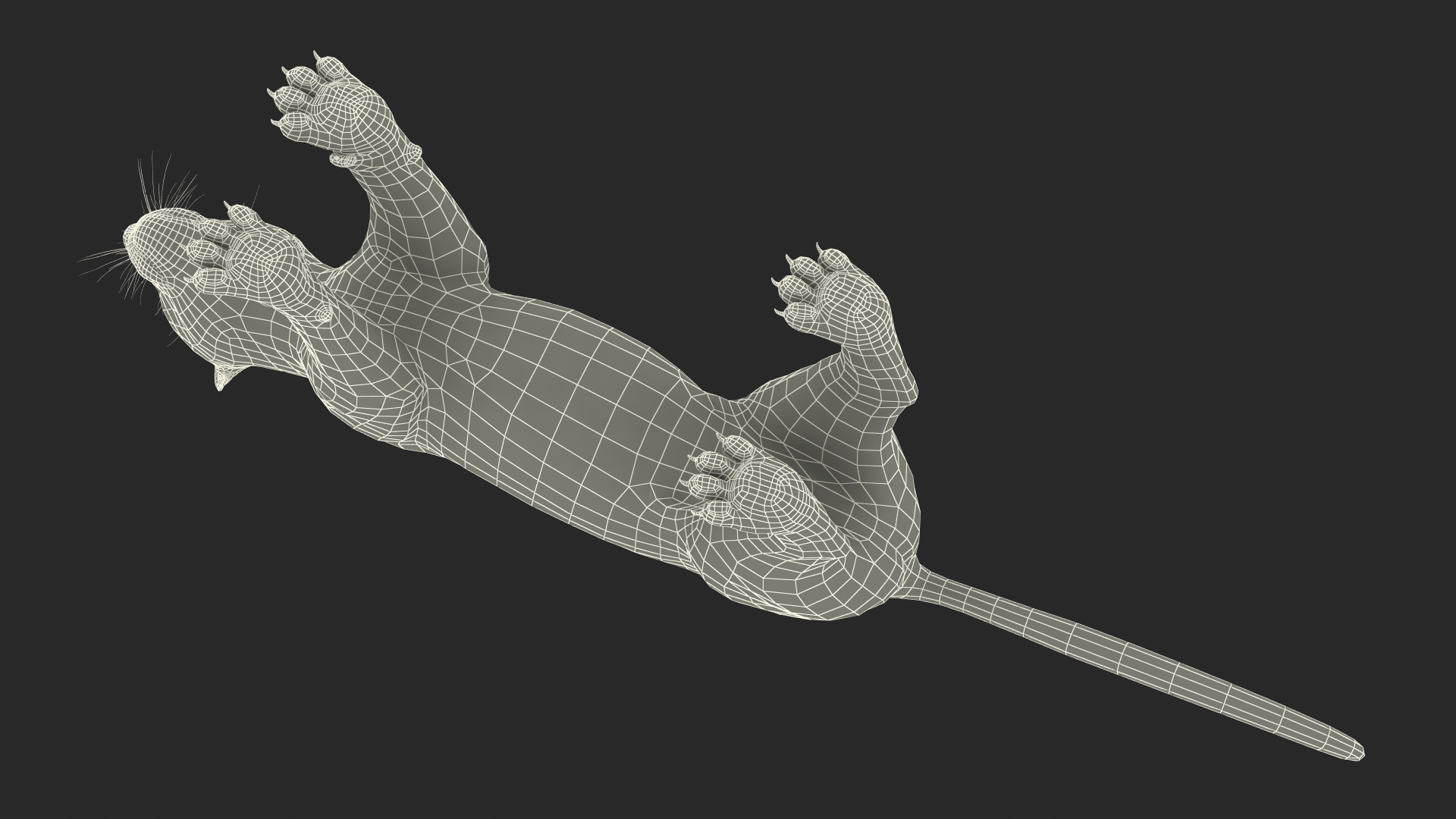 Black Panther Rigged for Cinema 4D 3D model