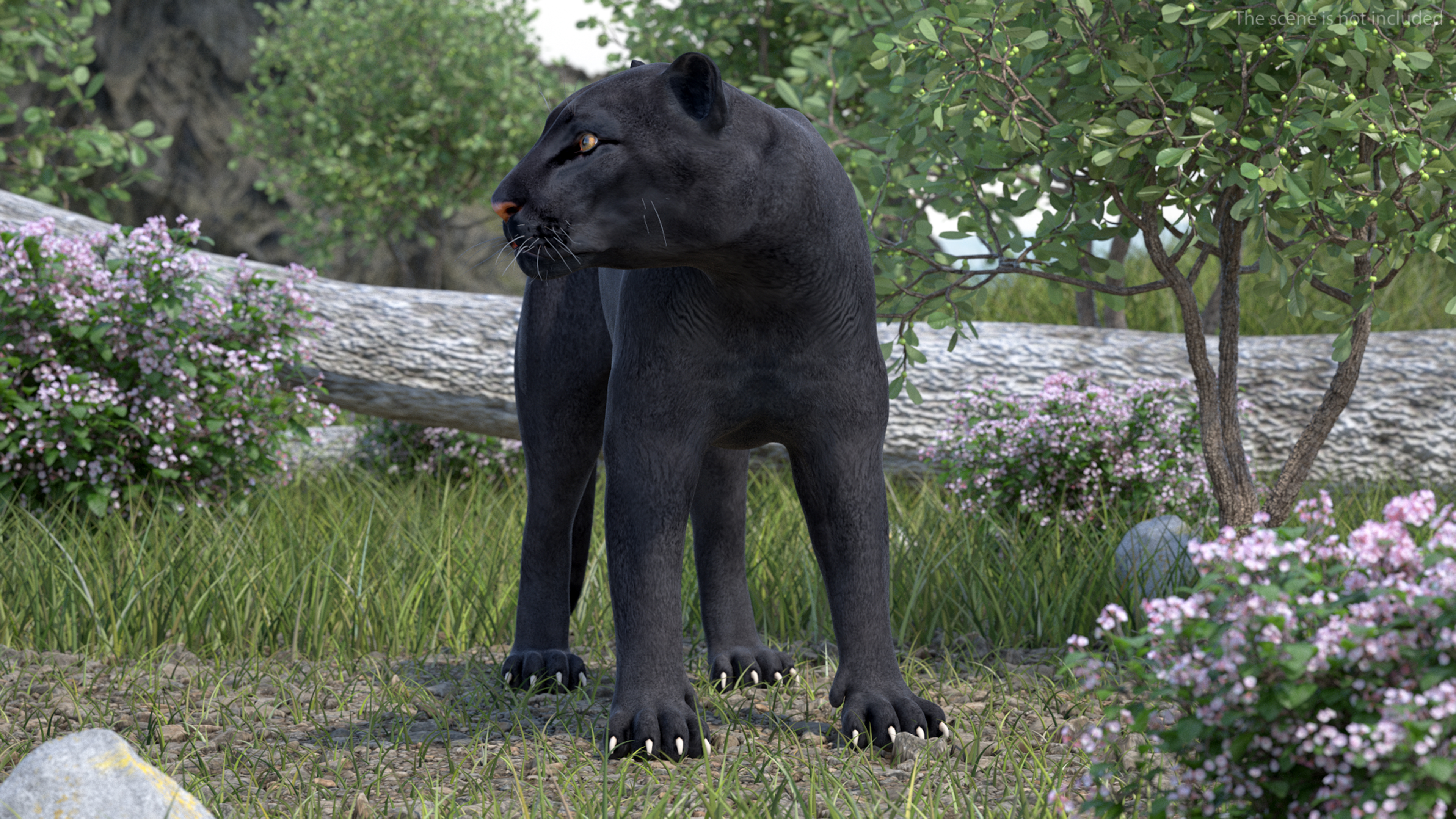 Black Panther Rigged for Cinema 4D 3D model