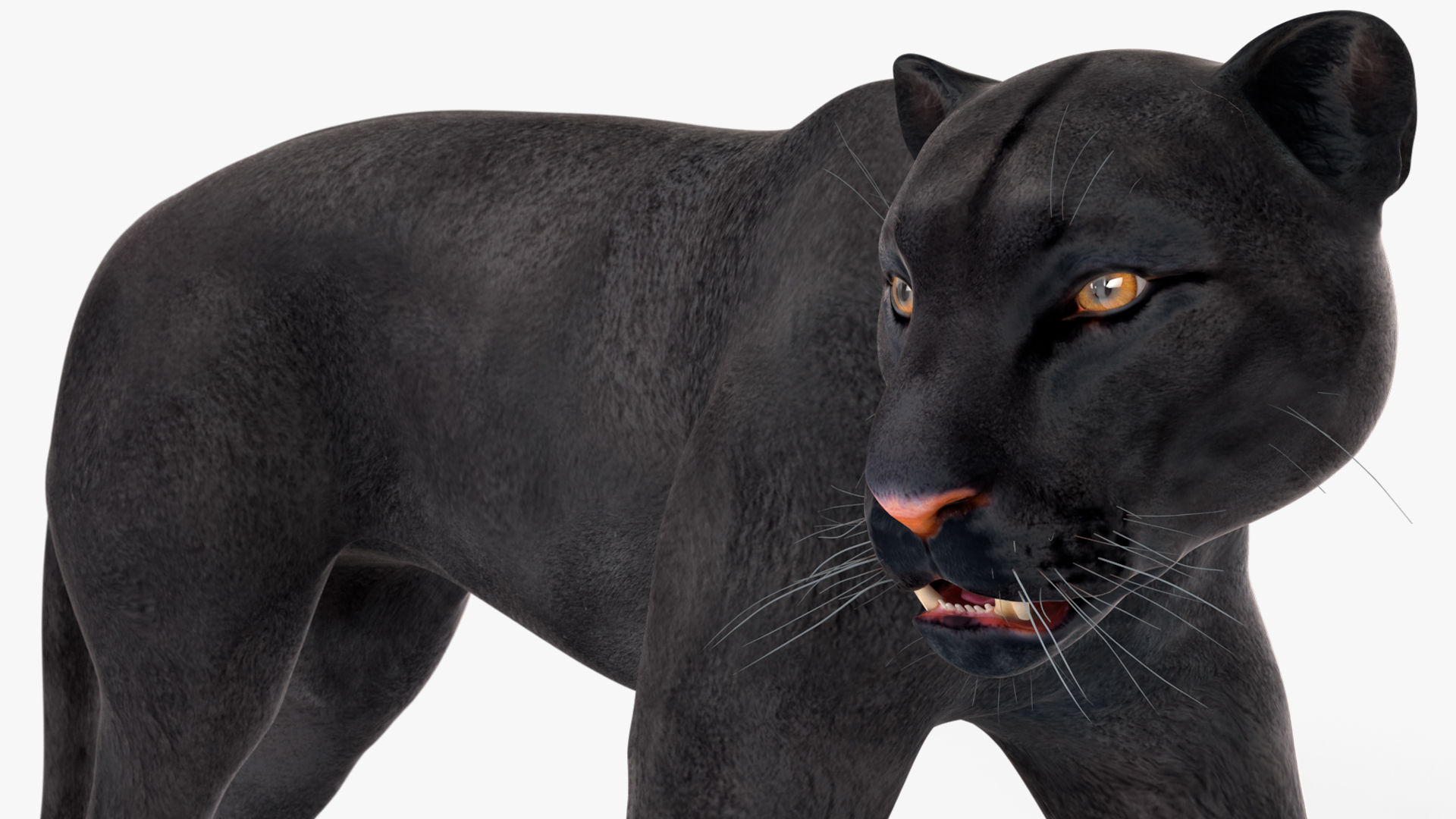 Black Panther Rigged for Cinema 4D 3D model