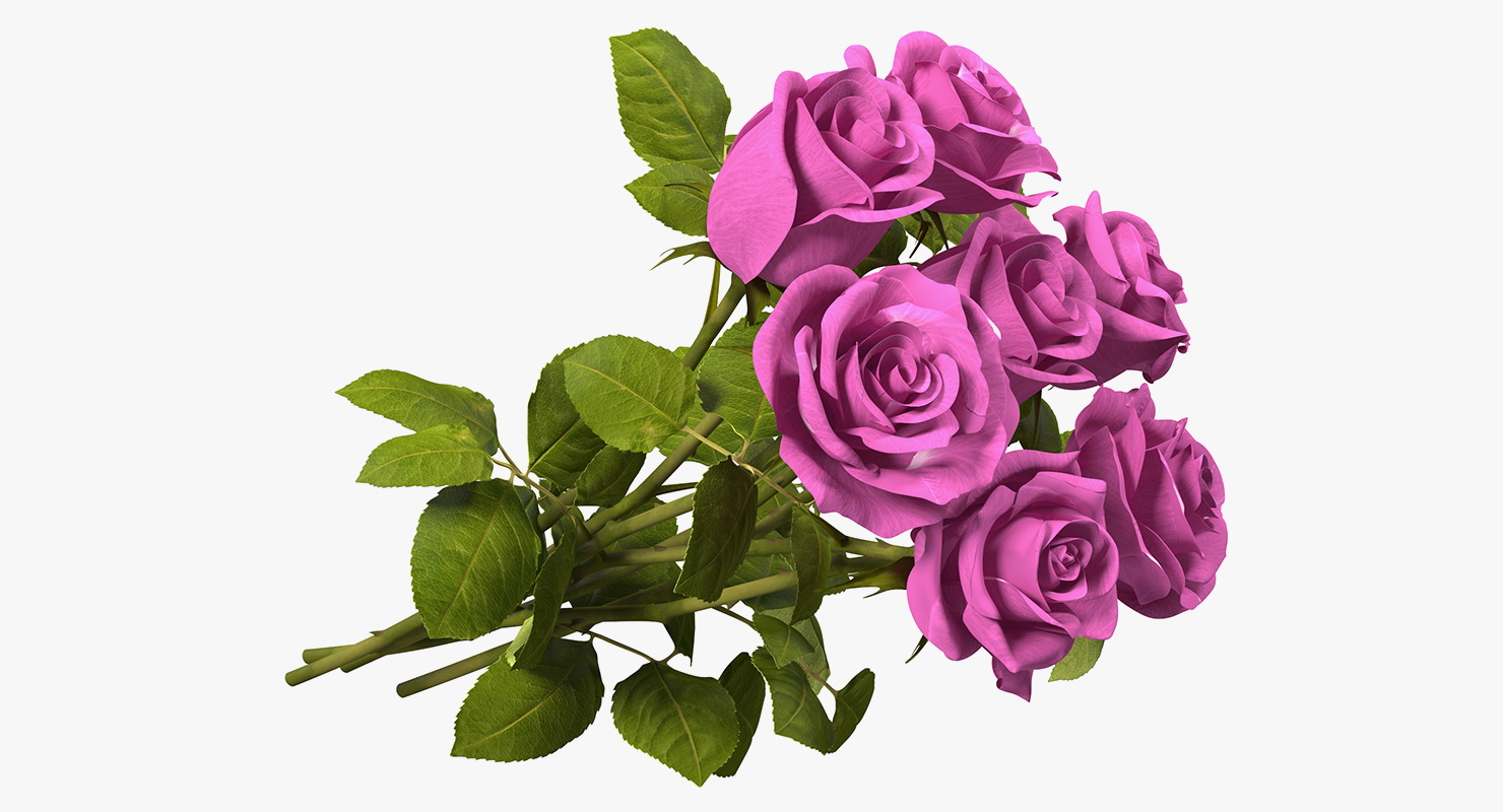 3D Woman With Pink Roses