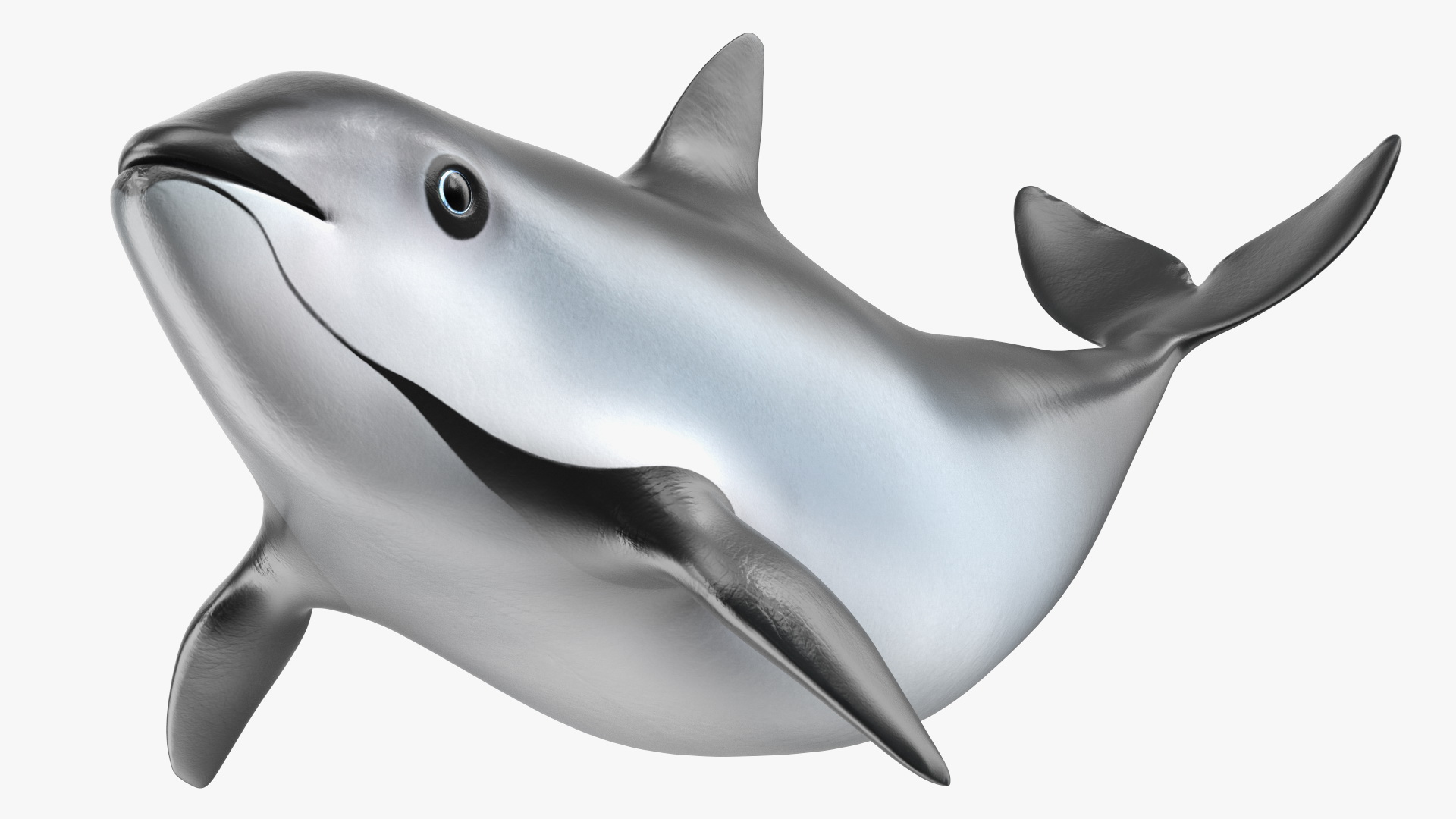 3D Vaquita Swimming Pose