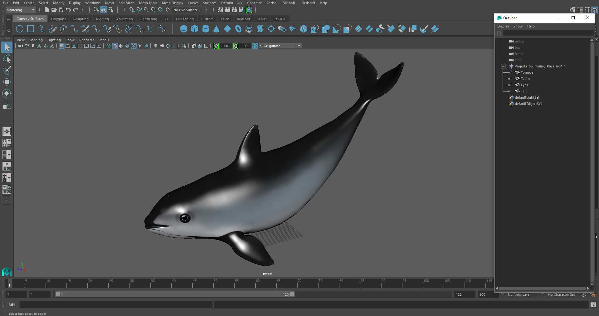 3D Vaquita Swimming Pose