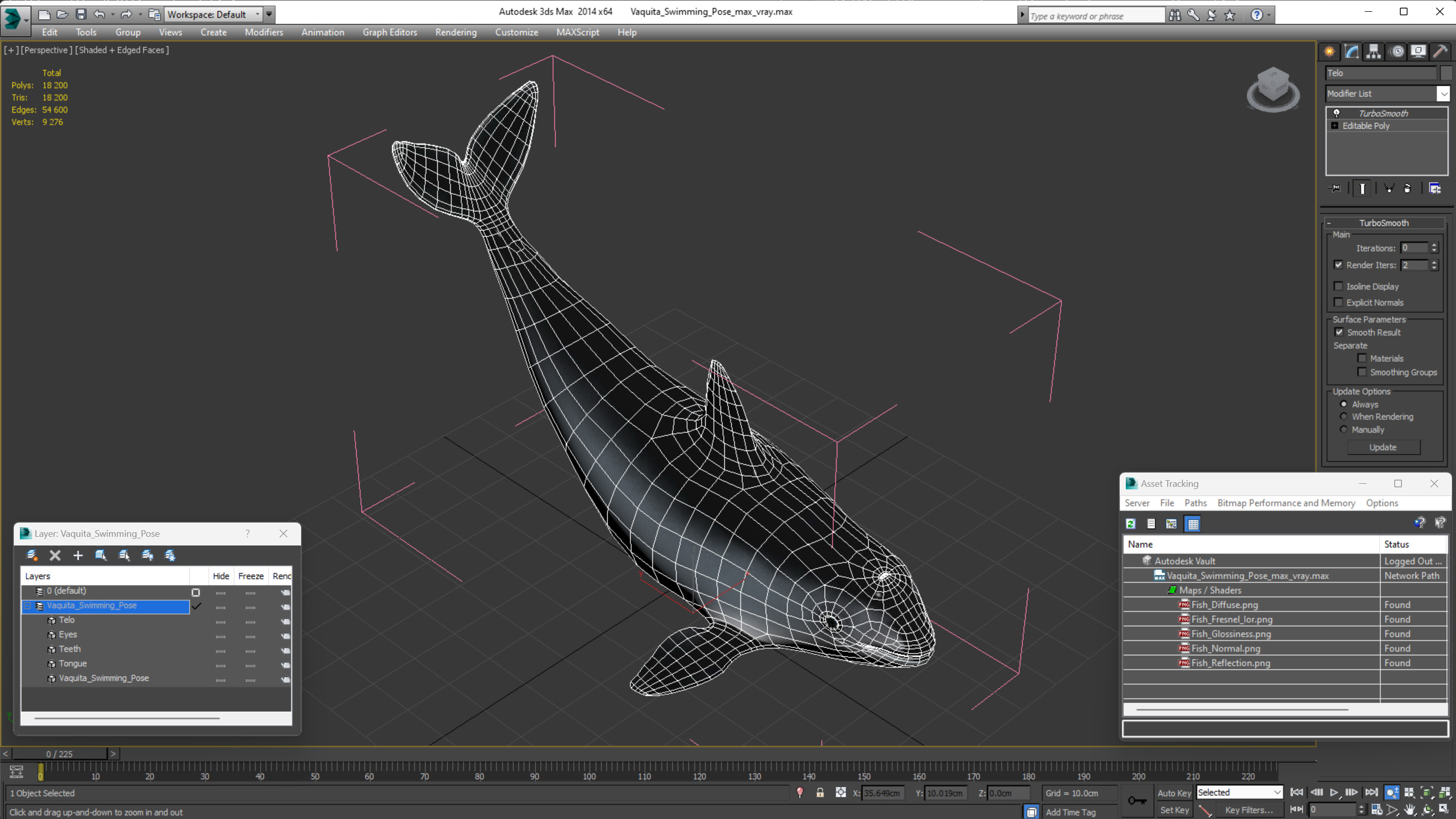 3D Vaquita Swimming Pose