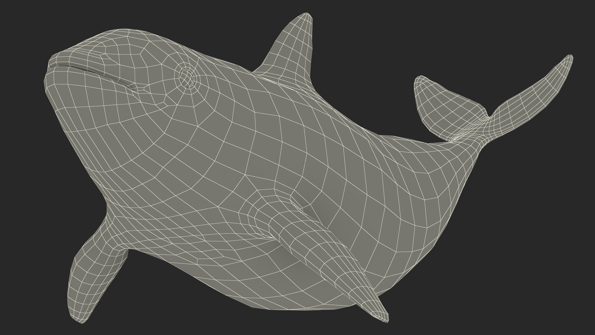 3D Vaquita Swimming Pose