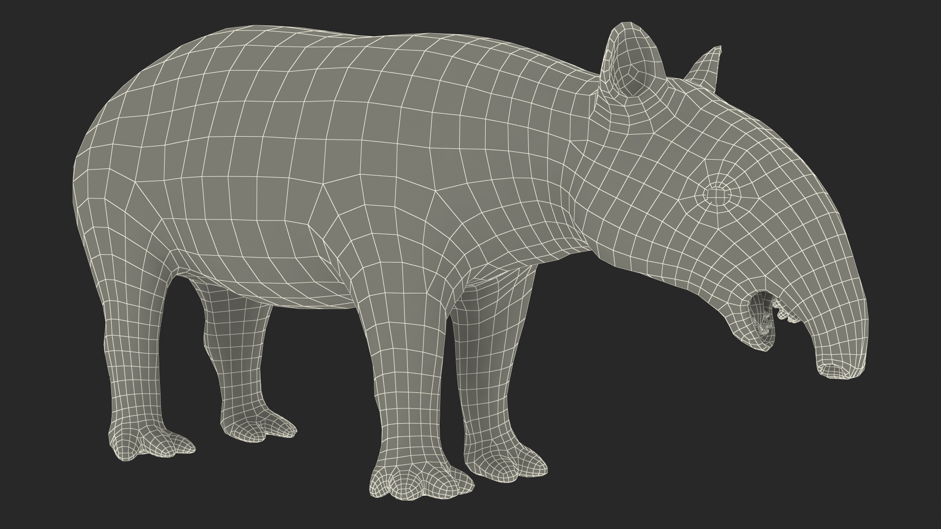 Tapir 3D model