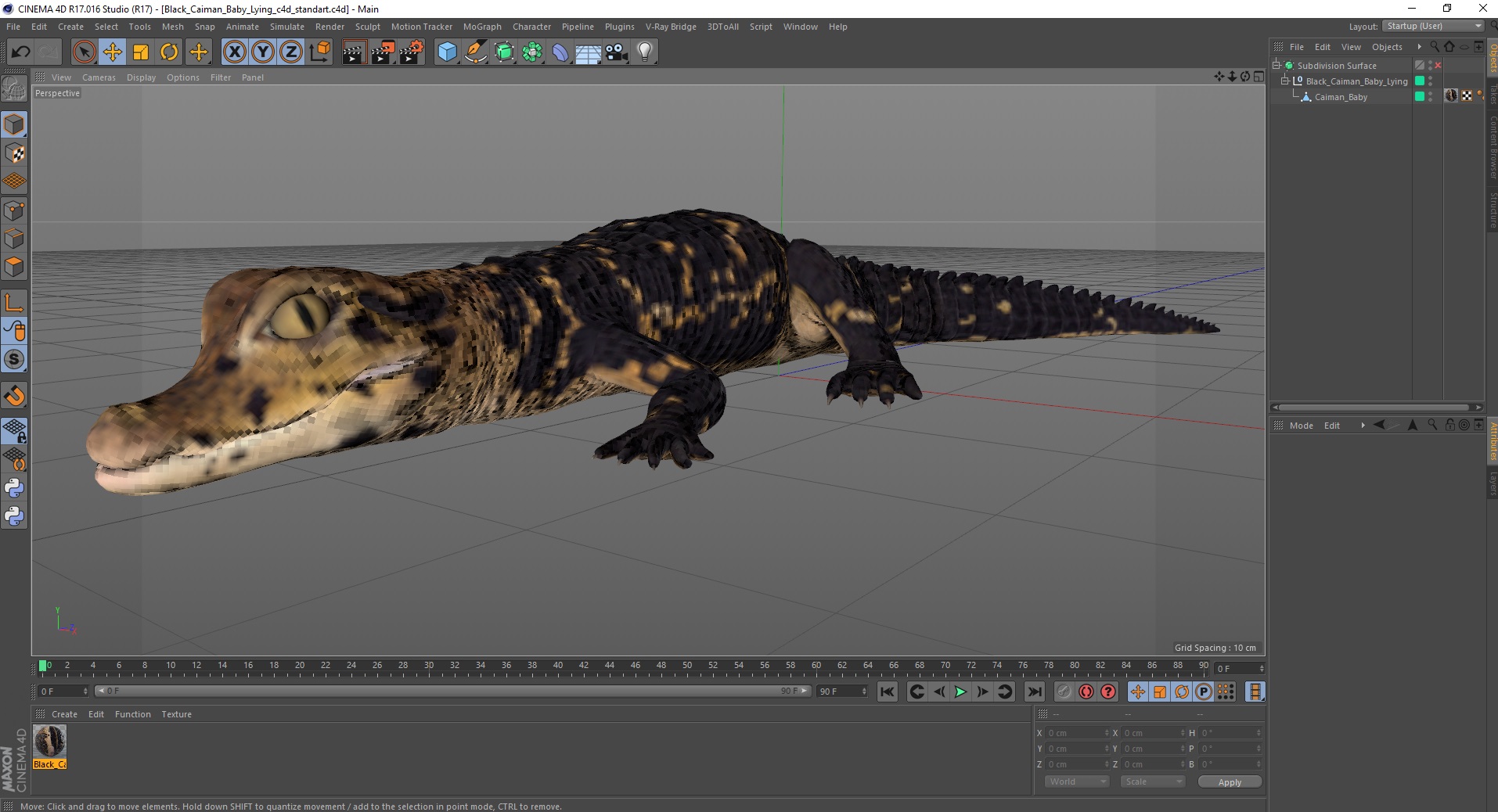 3D Black Caiman Baby Lying model