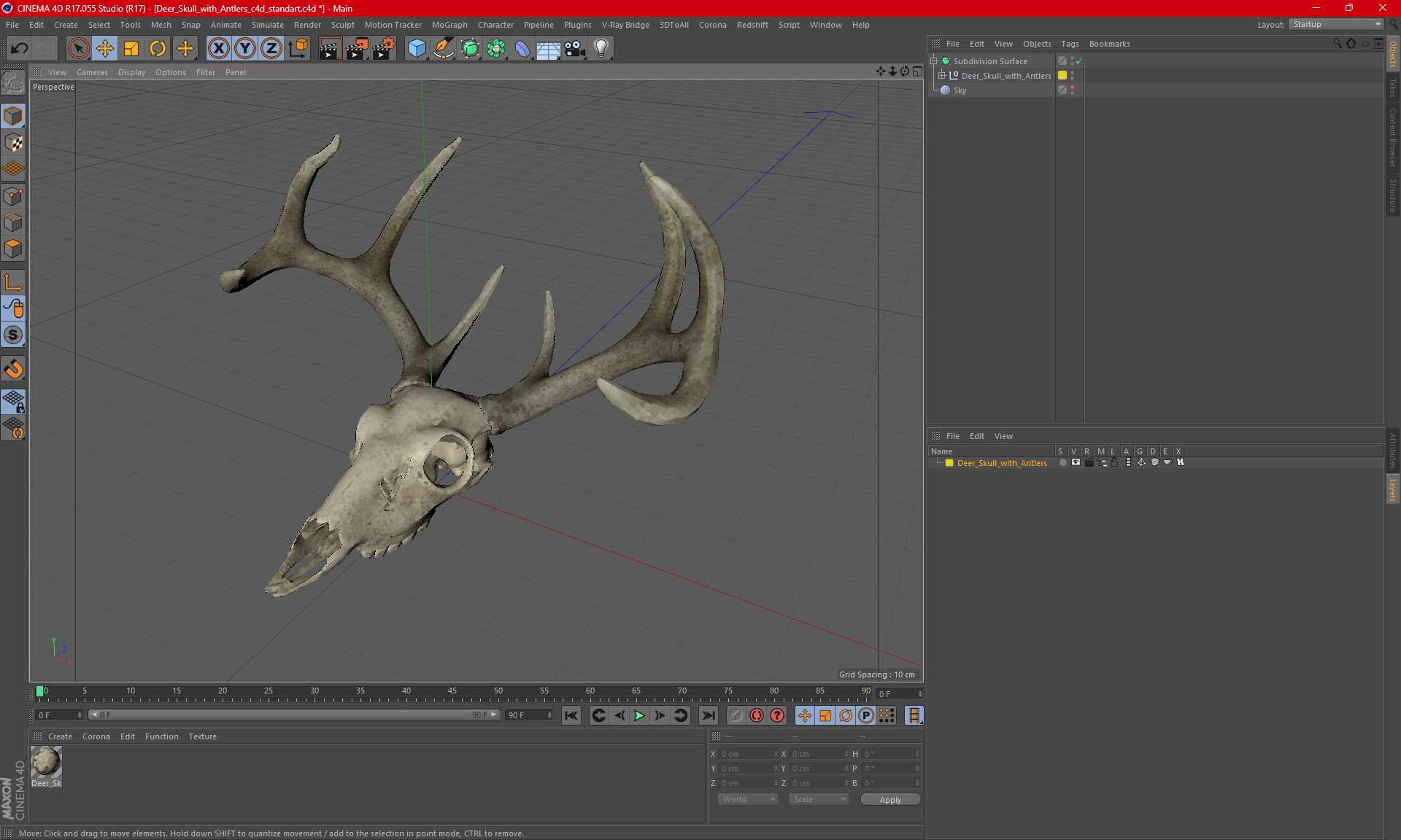 3D Deer Skull with Antlers model