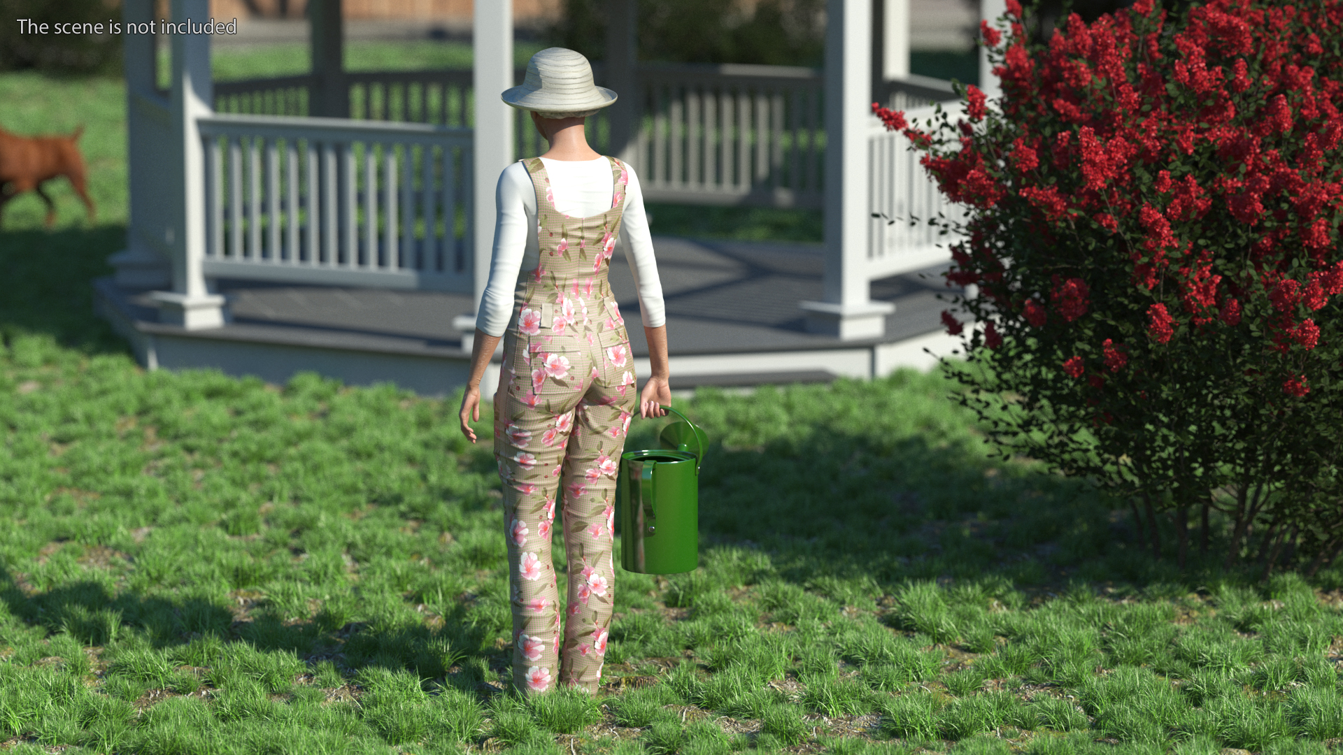 Asian Grandma Gardener Style Standing 3D