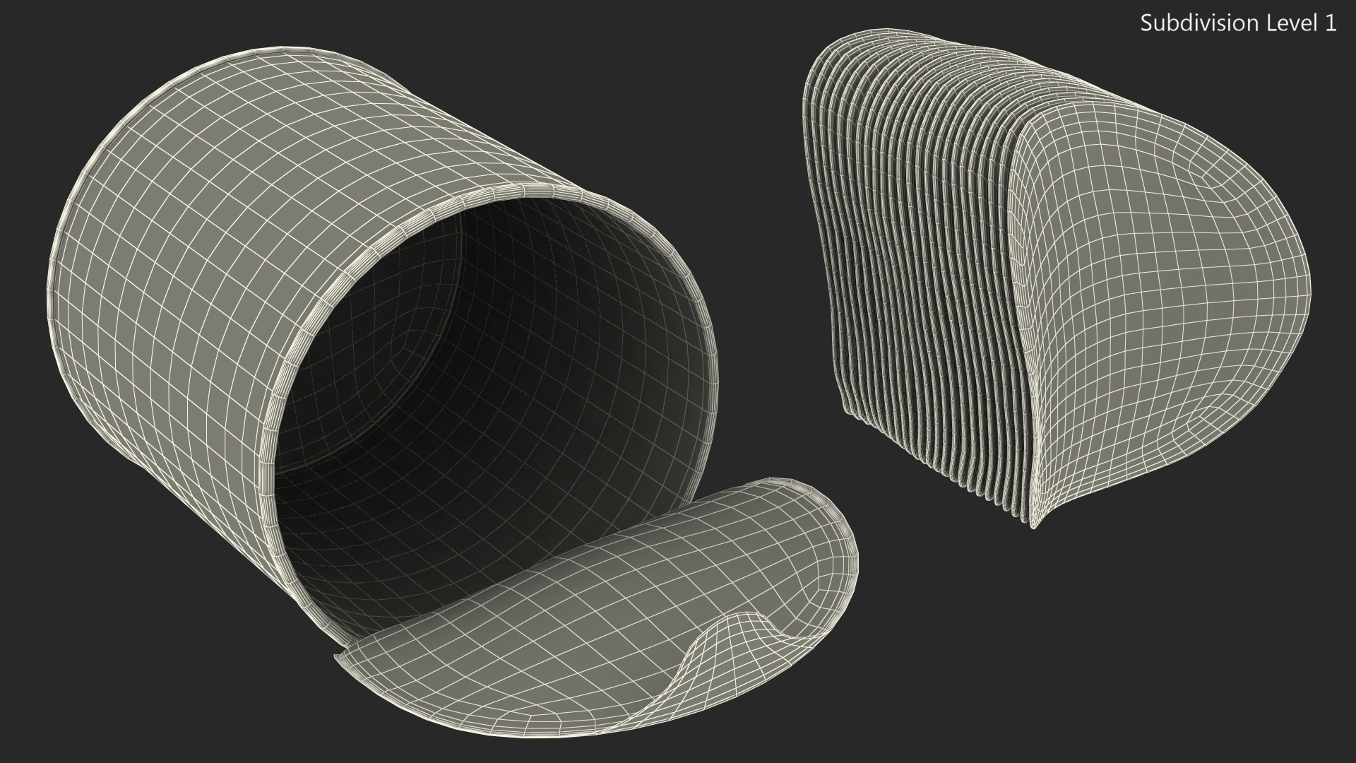 Small Opened Paper Tube of Potato Chips 3D model