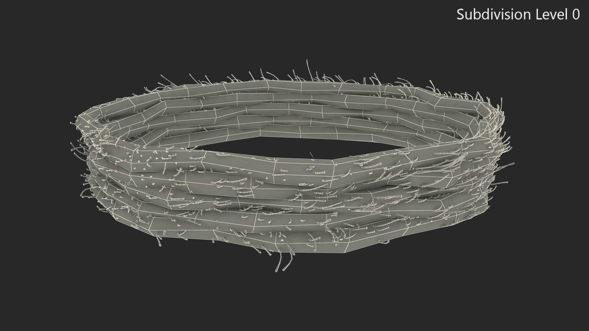 3D Circular Rope model