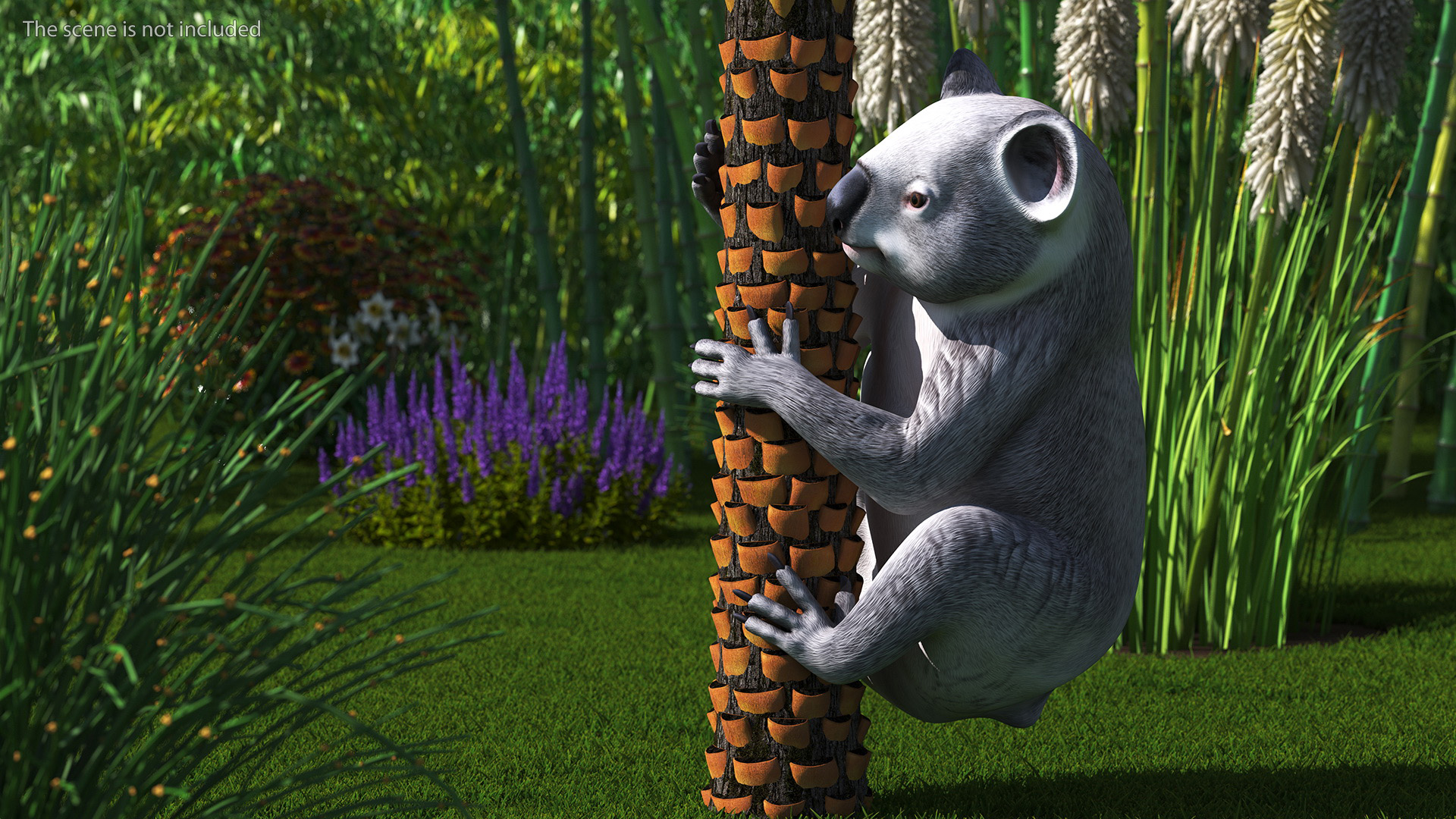 3D Australian Koala Rigged model