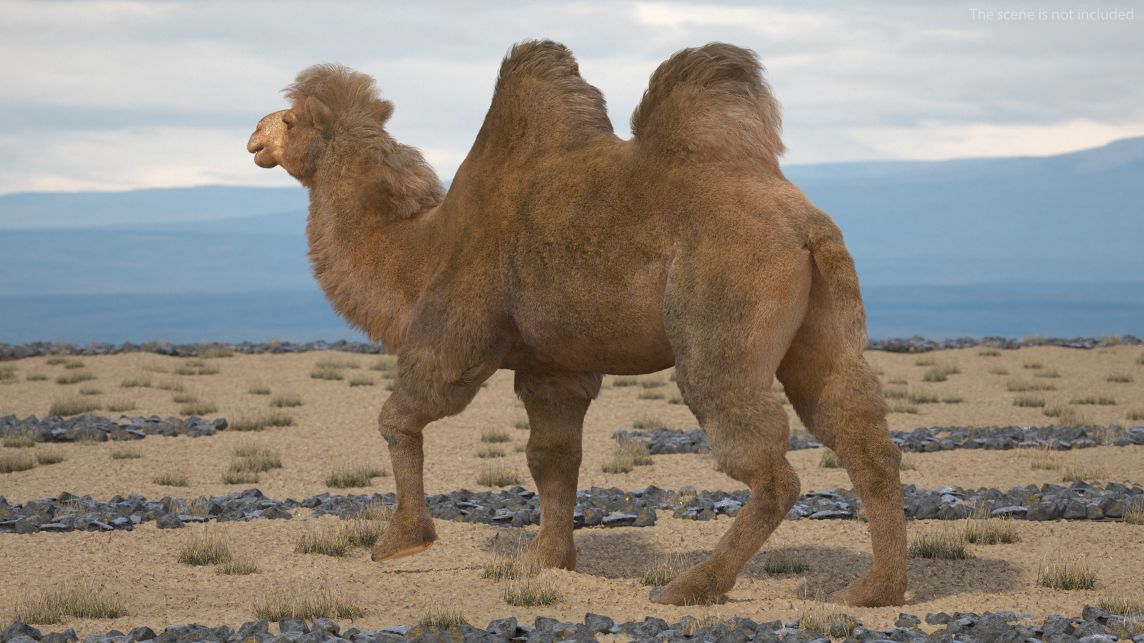 3D model Bactrian Camel Fur Rigged