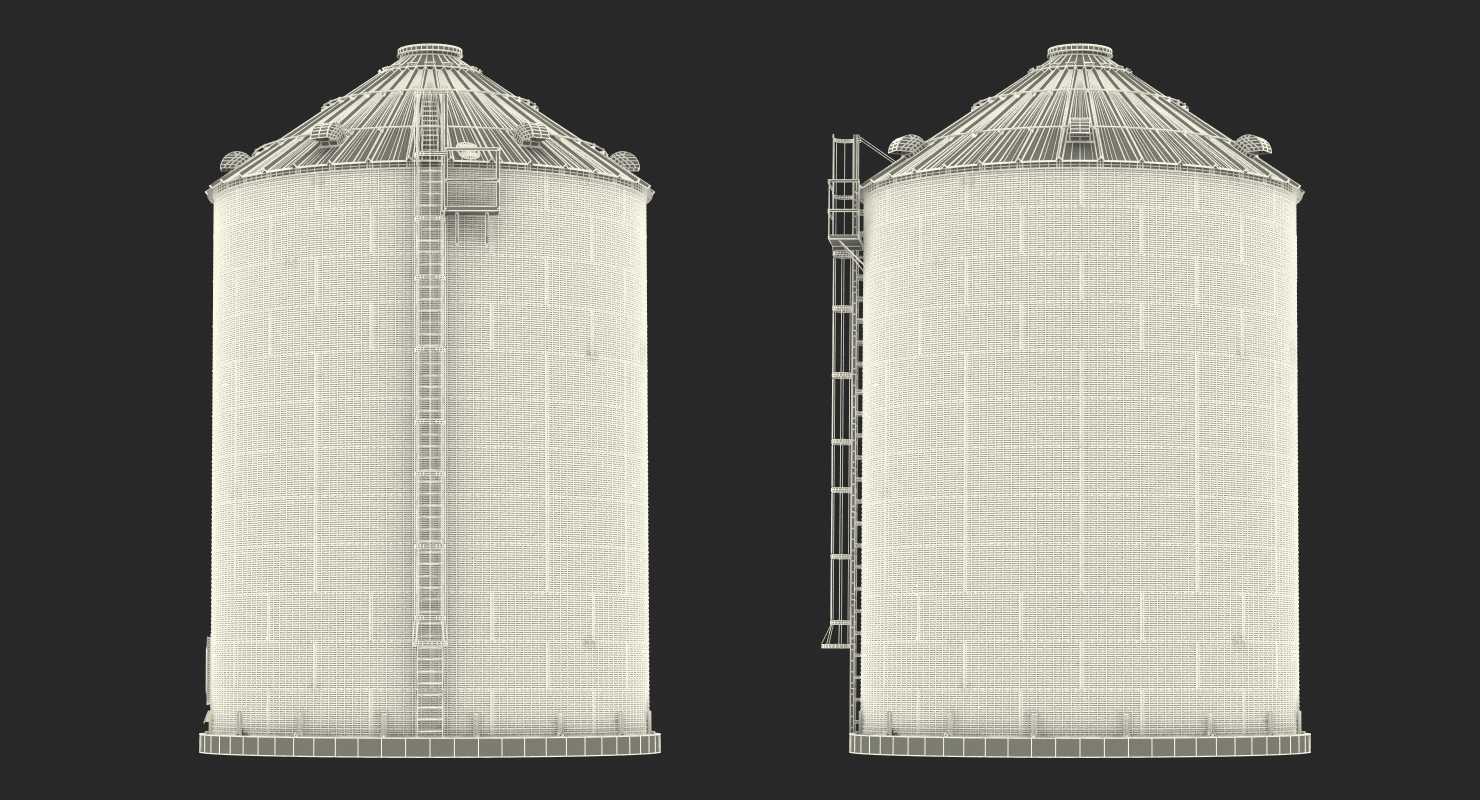 Farm Grain Storage Bin 3D