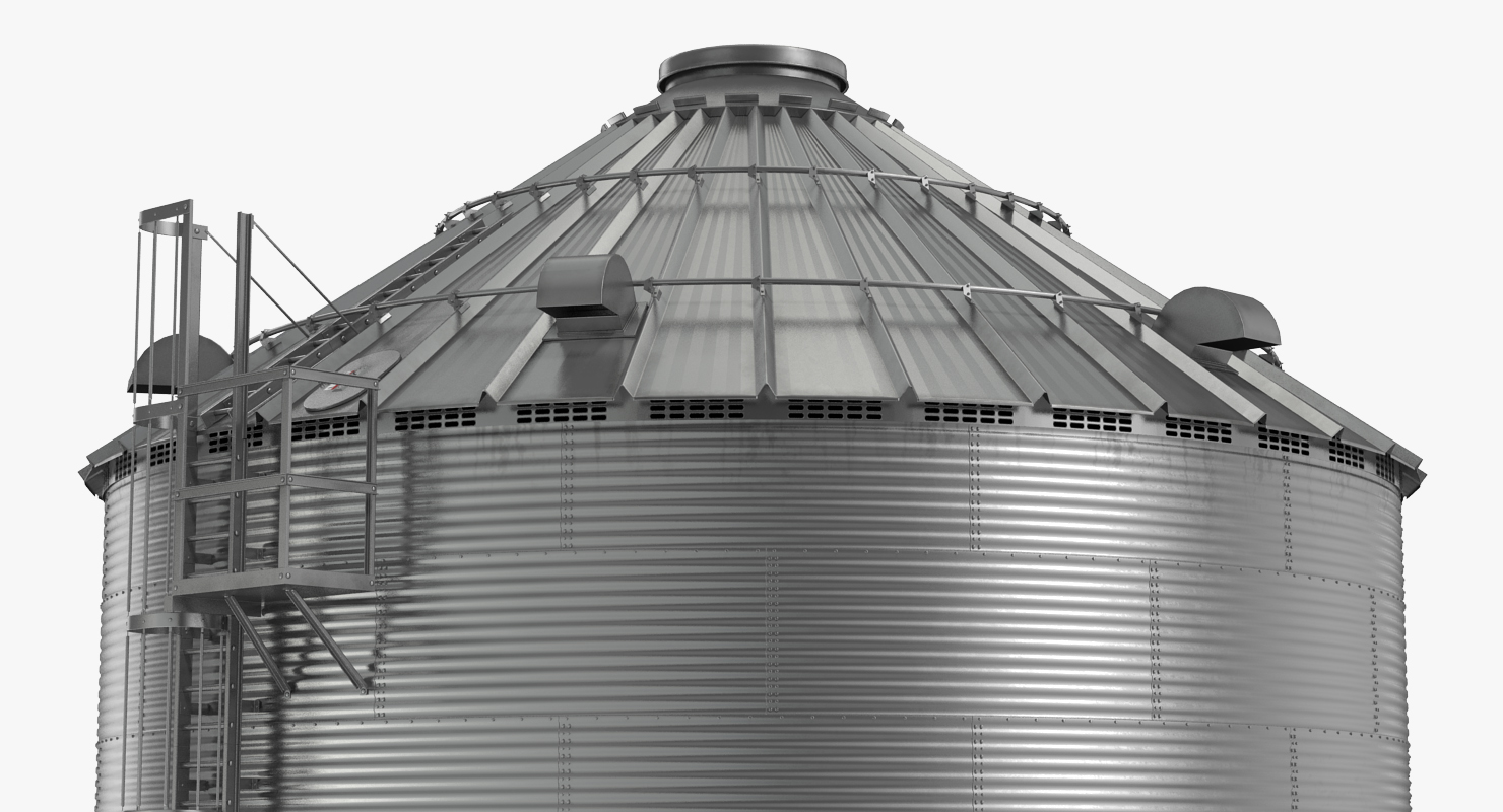 Farm Grain Storage Bin 3D