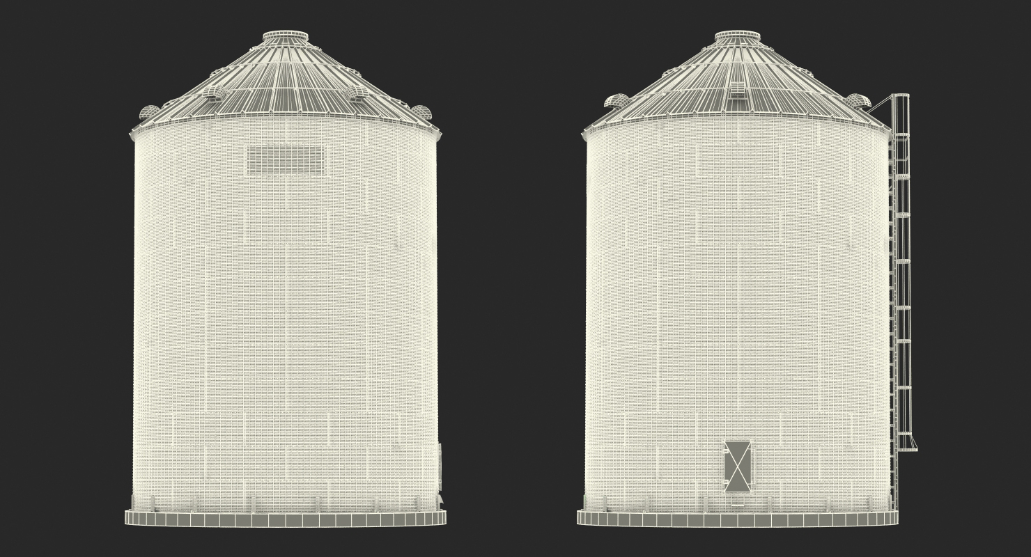 Farm Grain Storage Bin 3D