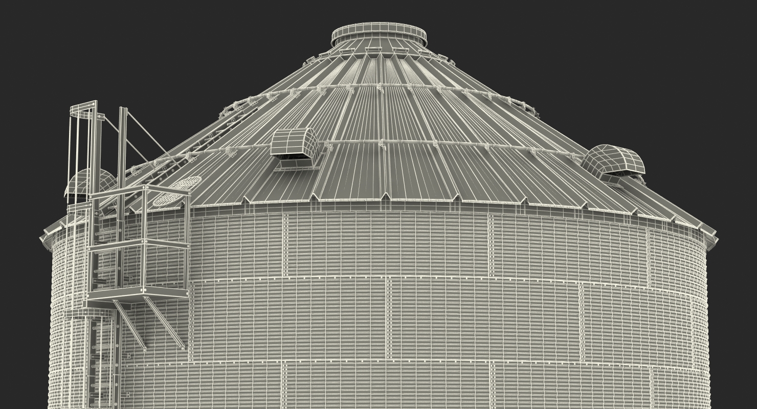 Farm Grain Storage Bin 3D