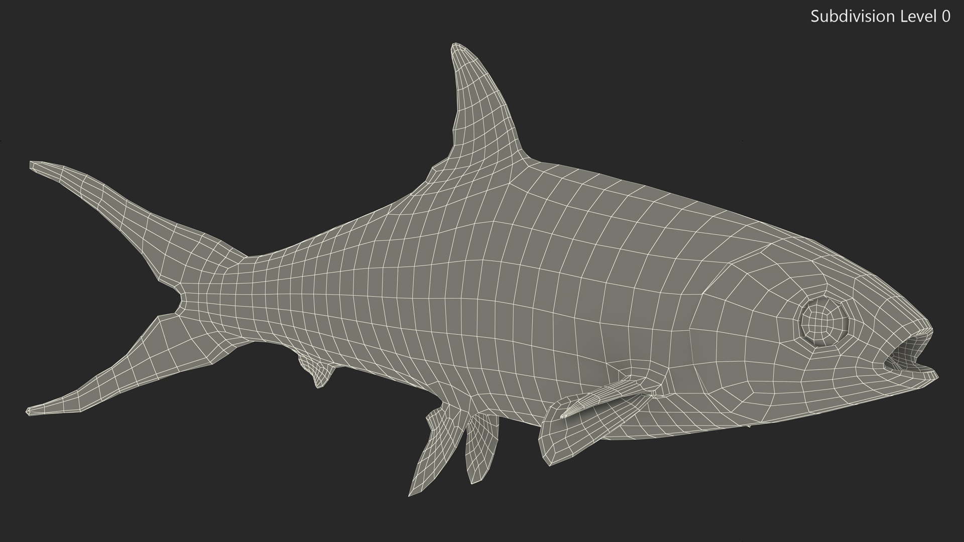 3D model Milkfish