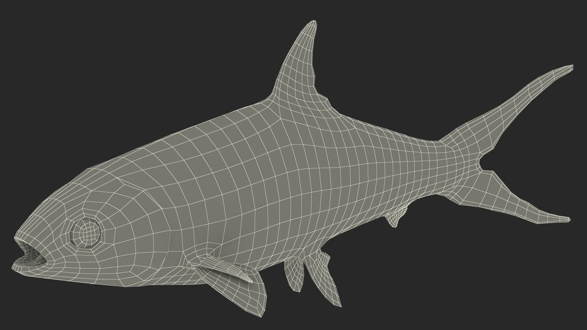 3D model Milkfish