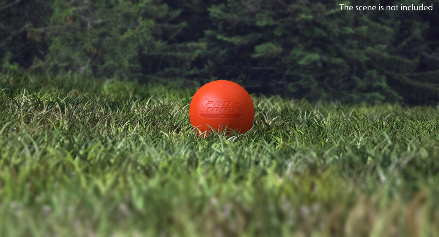 3D Lacrosse Ball model