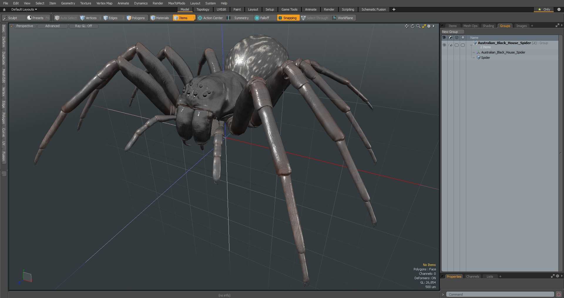 Australian Black House Spider 3D model