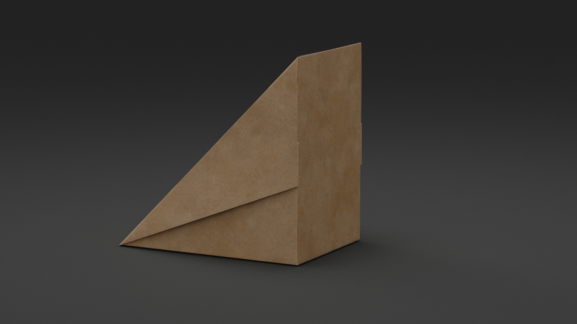 Paperboard Large Sandwich Box 3D model