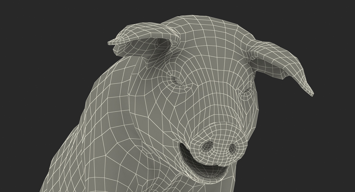 Pig Piglet Landrace with Fur Standing Pose 3D