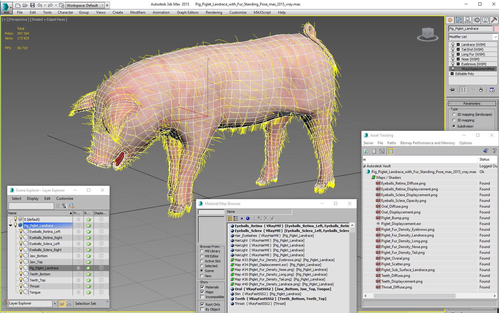 Pig Piglet Landrace with Fur Standing Pose 3D