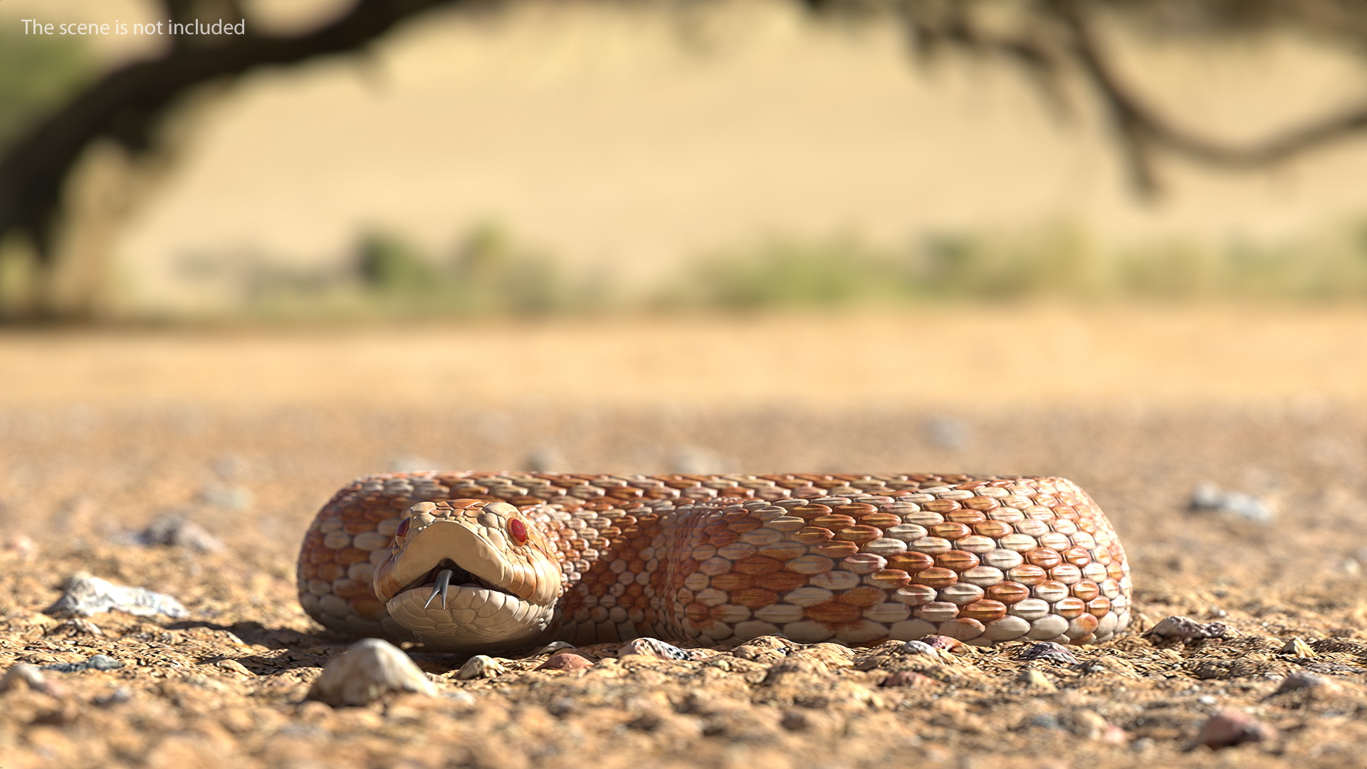 3D Beige Hognose Snake Rigged