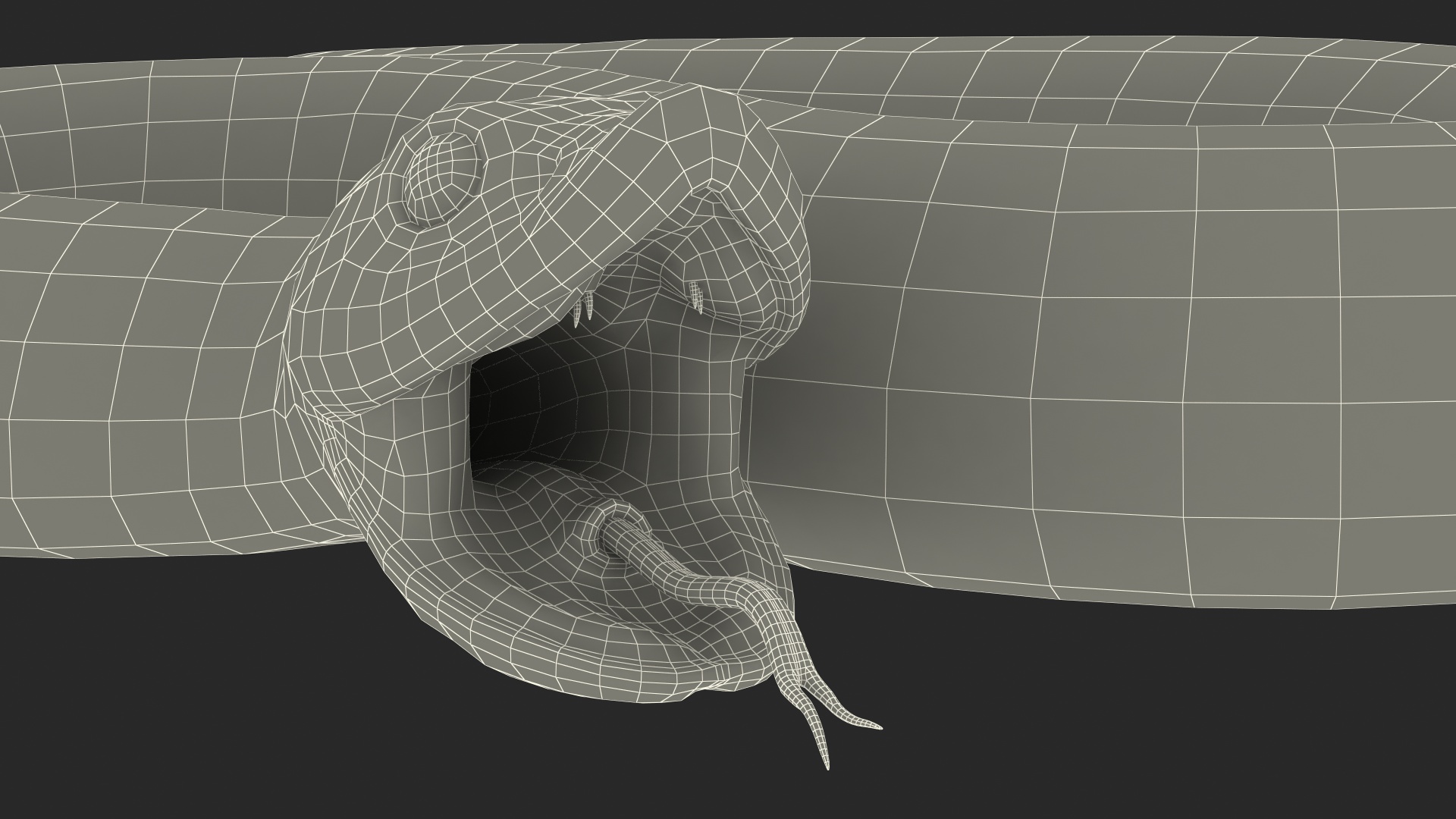 3D Beige Hognose Snake Rigged