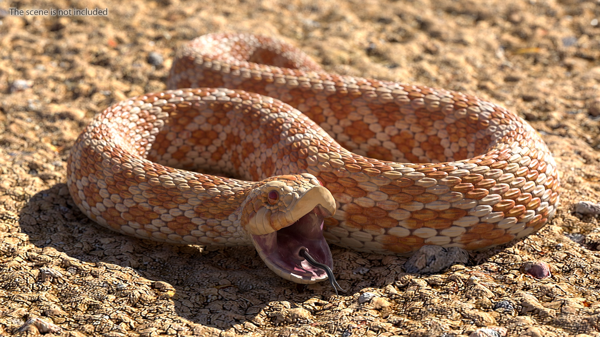 3D Beige Hognose Snake Rigged