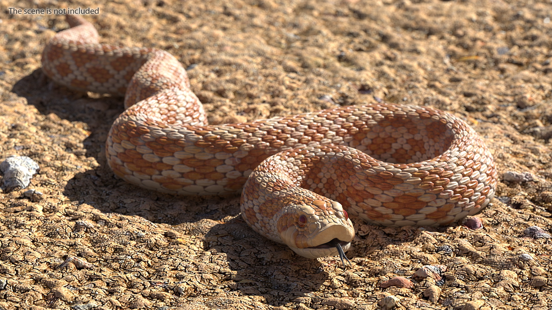 3D Beige Hognose Snake Rigged