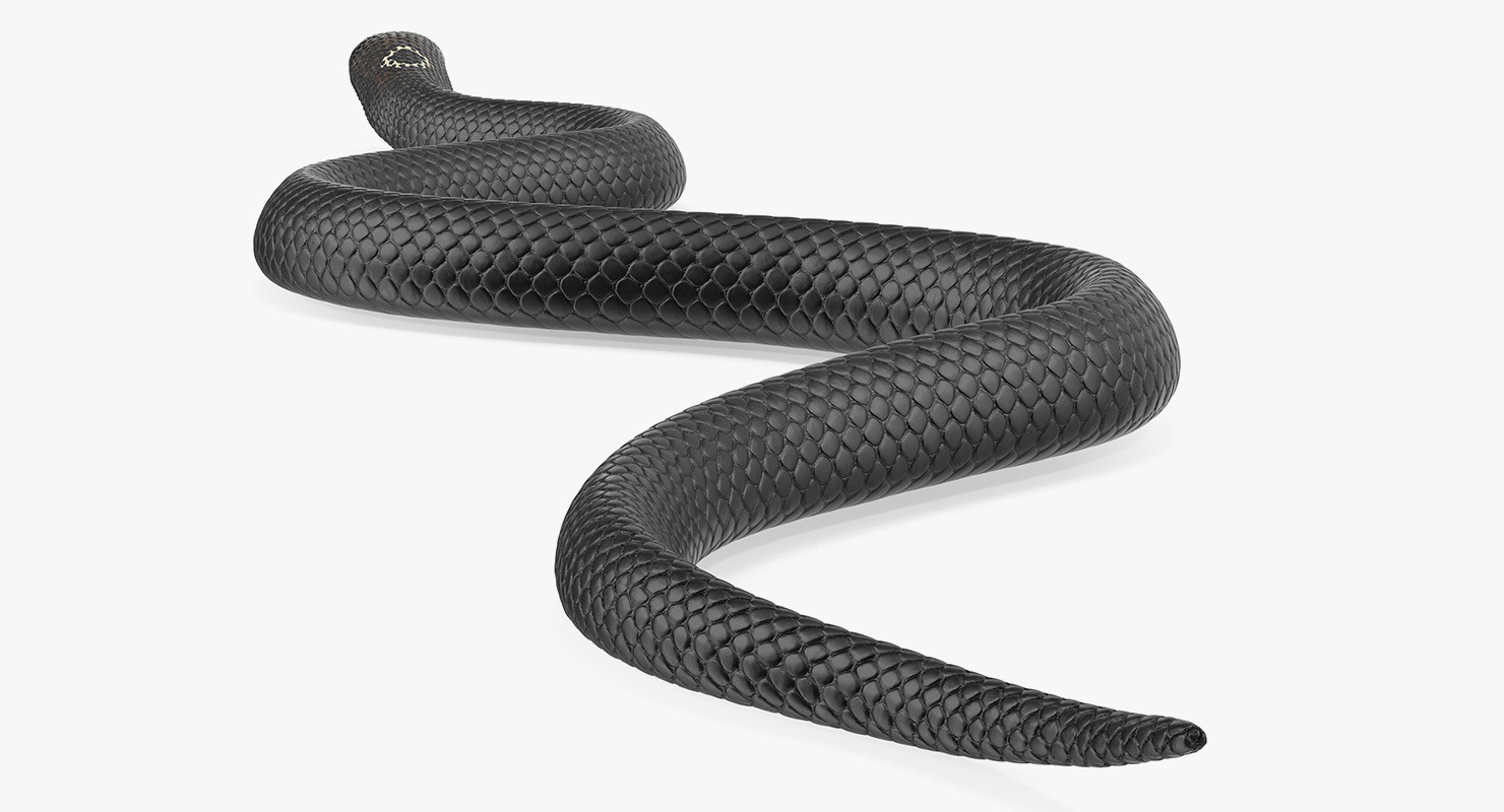 3D model Dark Cobra Snake Crawling