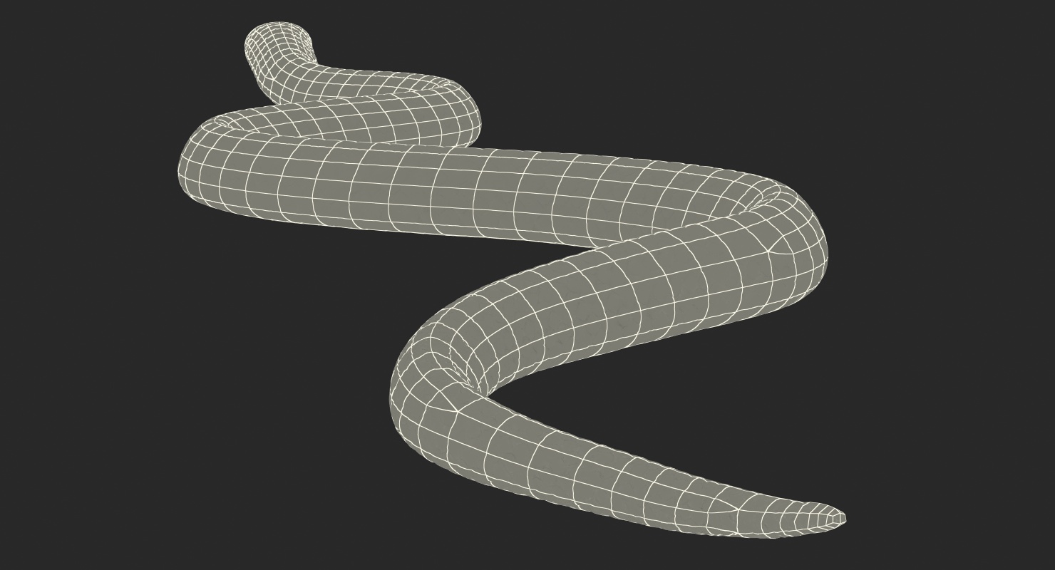 3D model Dark Cobra Snake Crawling