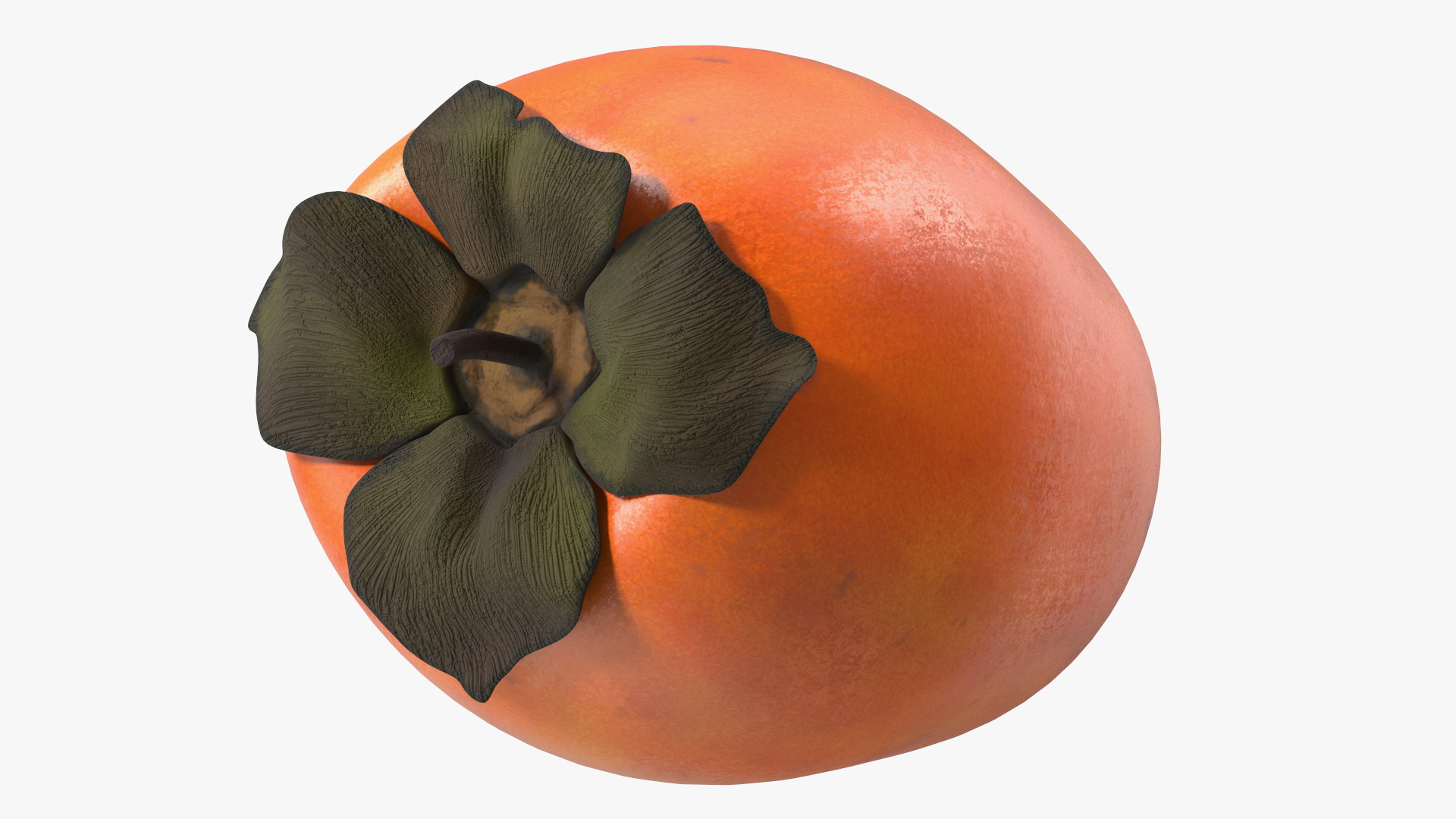 Persimmon Fruit Set 3D model