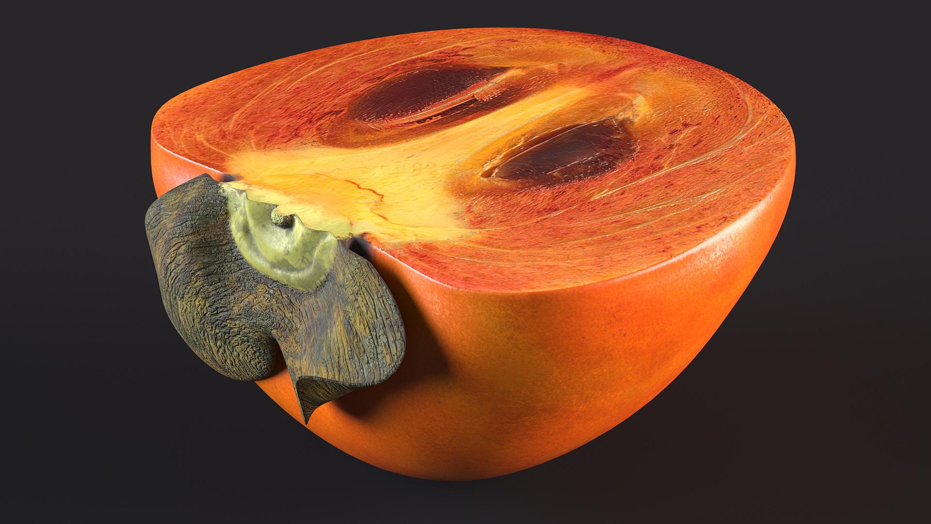 Persimmon Fruit Set 3D model