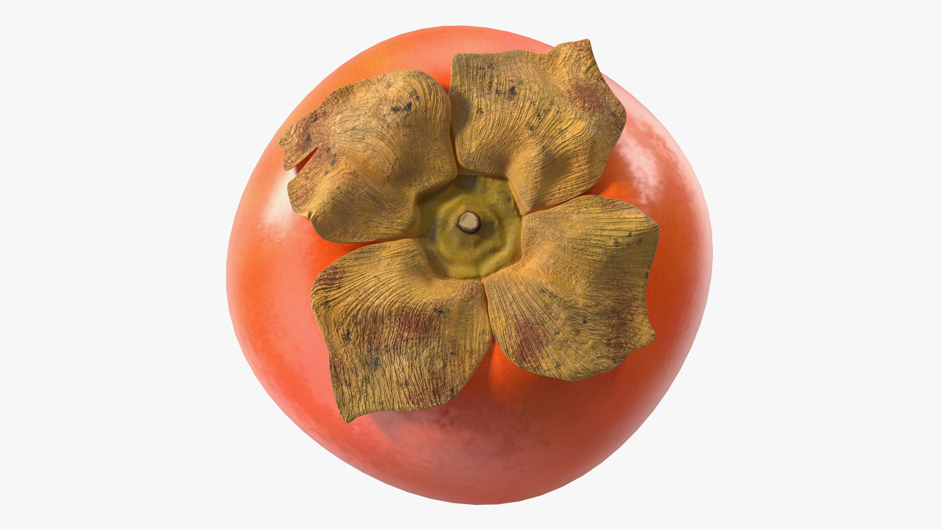 Persimmon Fruit Set 3D model