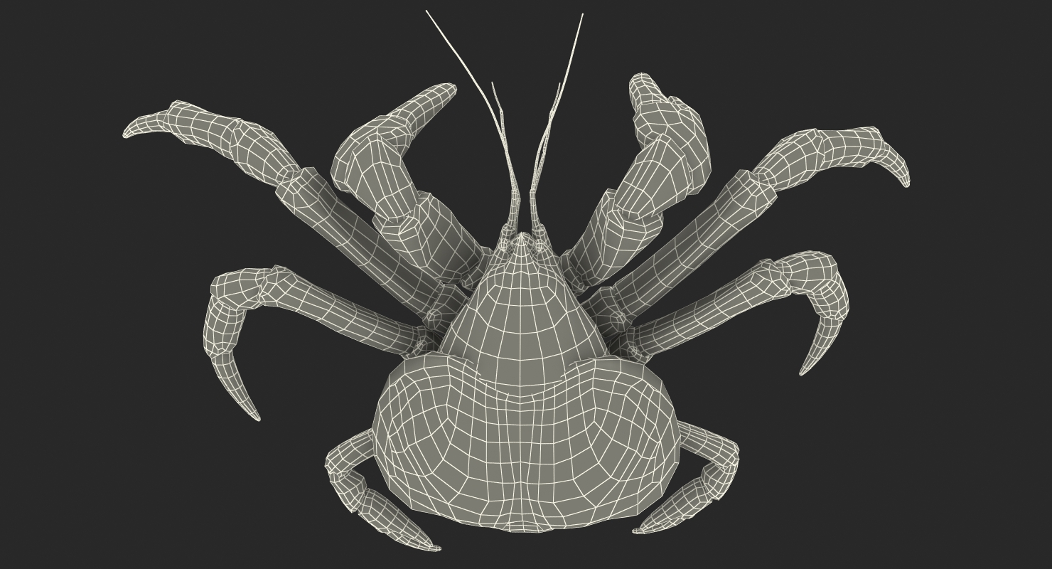 Coconut Crab Rigged 3D model