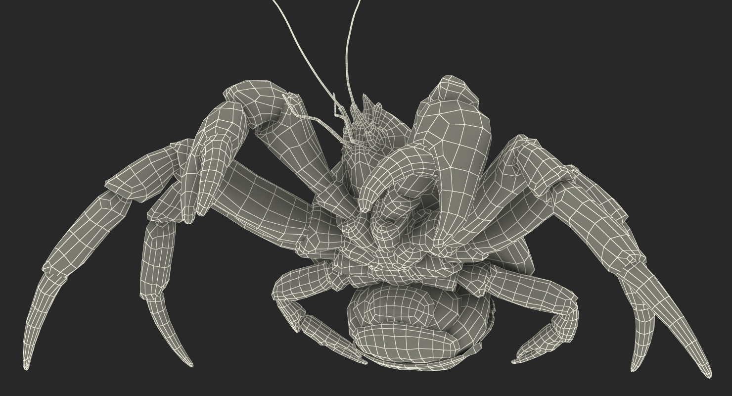 Coconut Crab Rigged 3D model