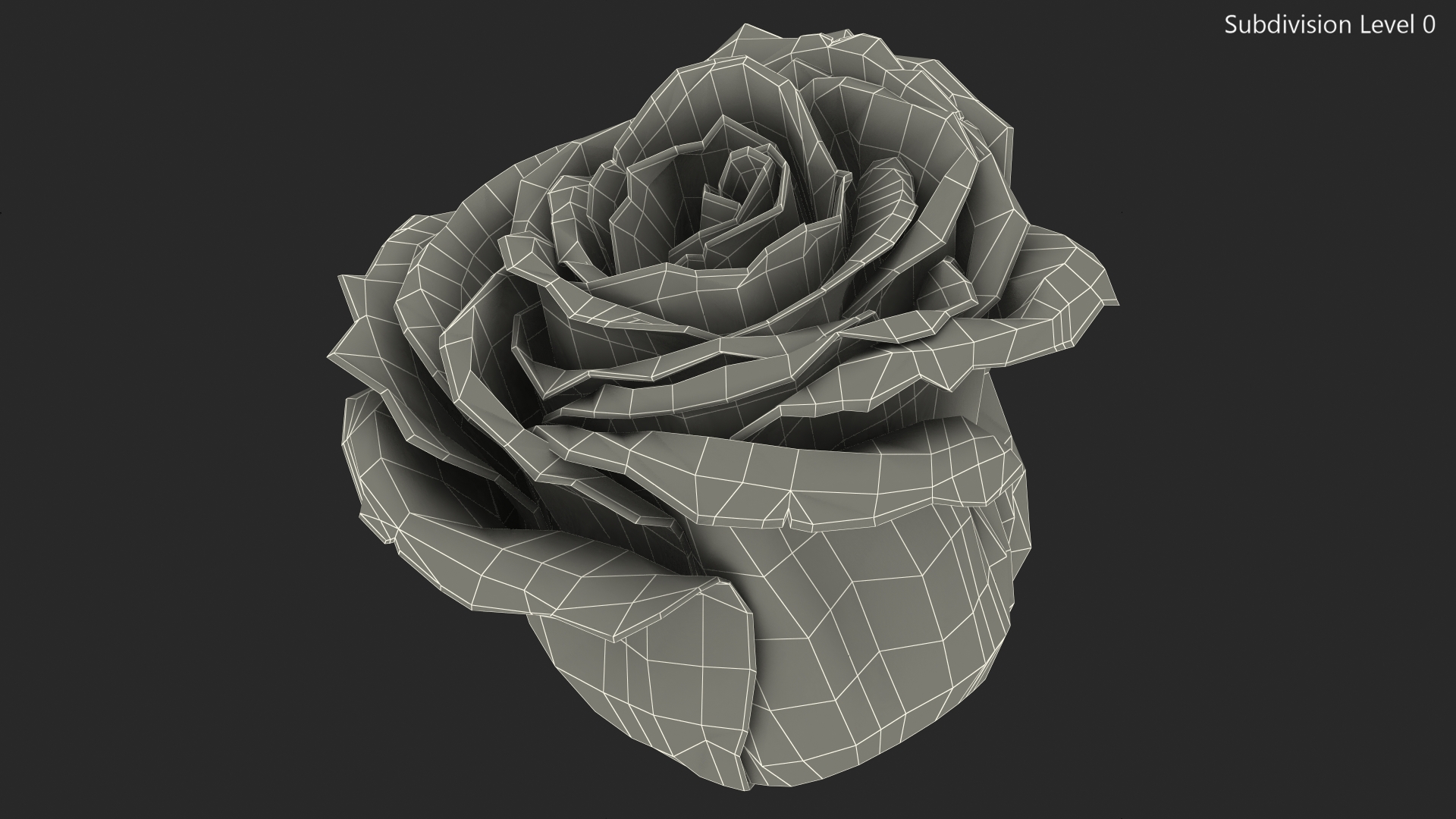 Rose Bud Red 3D