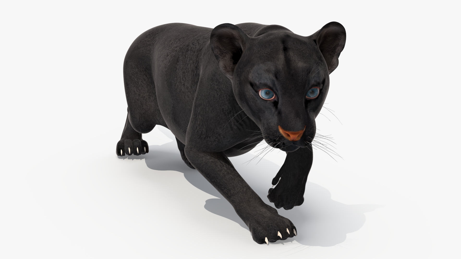 3D Black Panther Cub Sneaking Pose