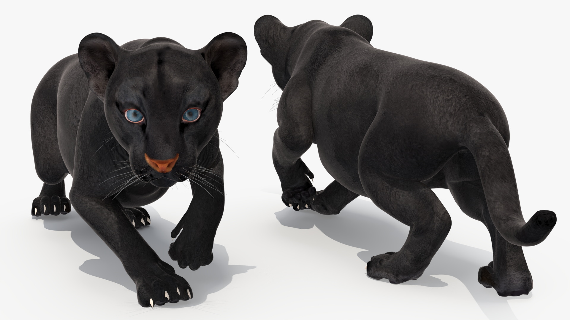 3D Black Panther Cub Sneaking Pose