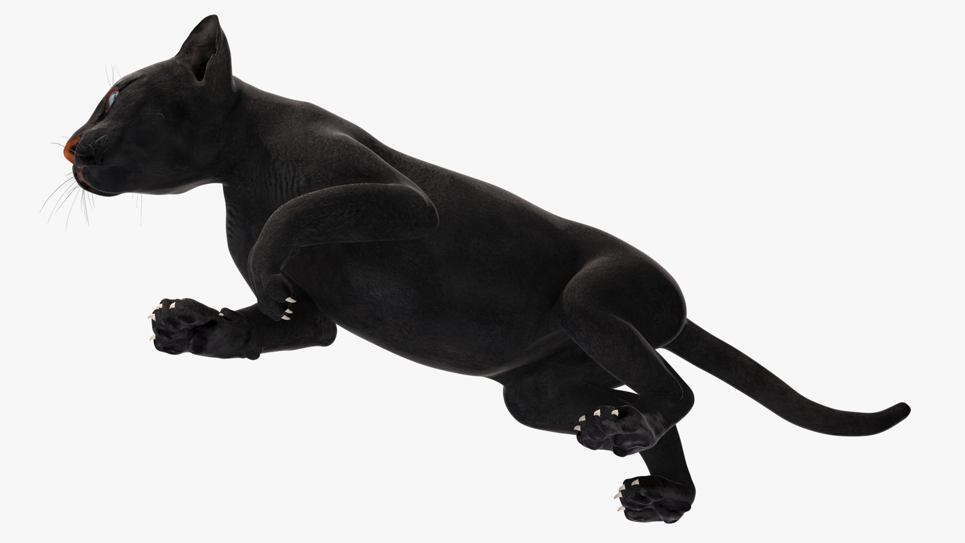 3D Black Panther Cub Sneaking Pose