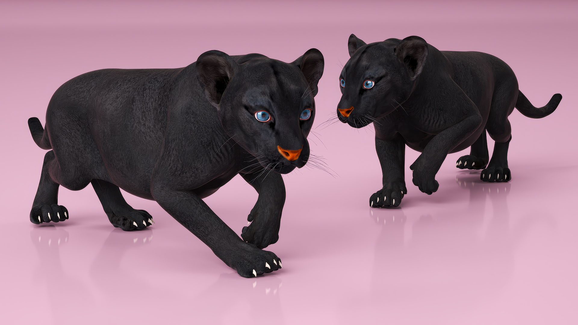 3D Black Panther Cub Sneaking Pose