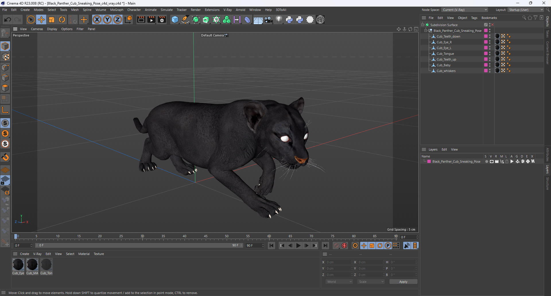 3D Black Panther Cub Sneaking Pose