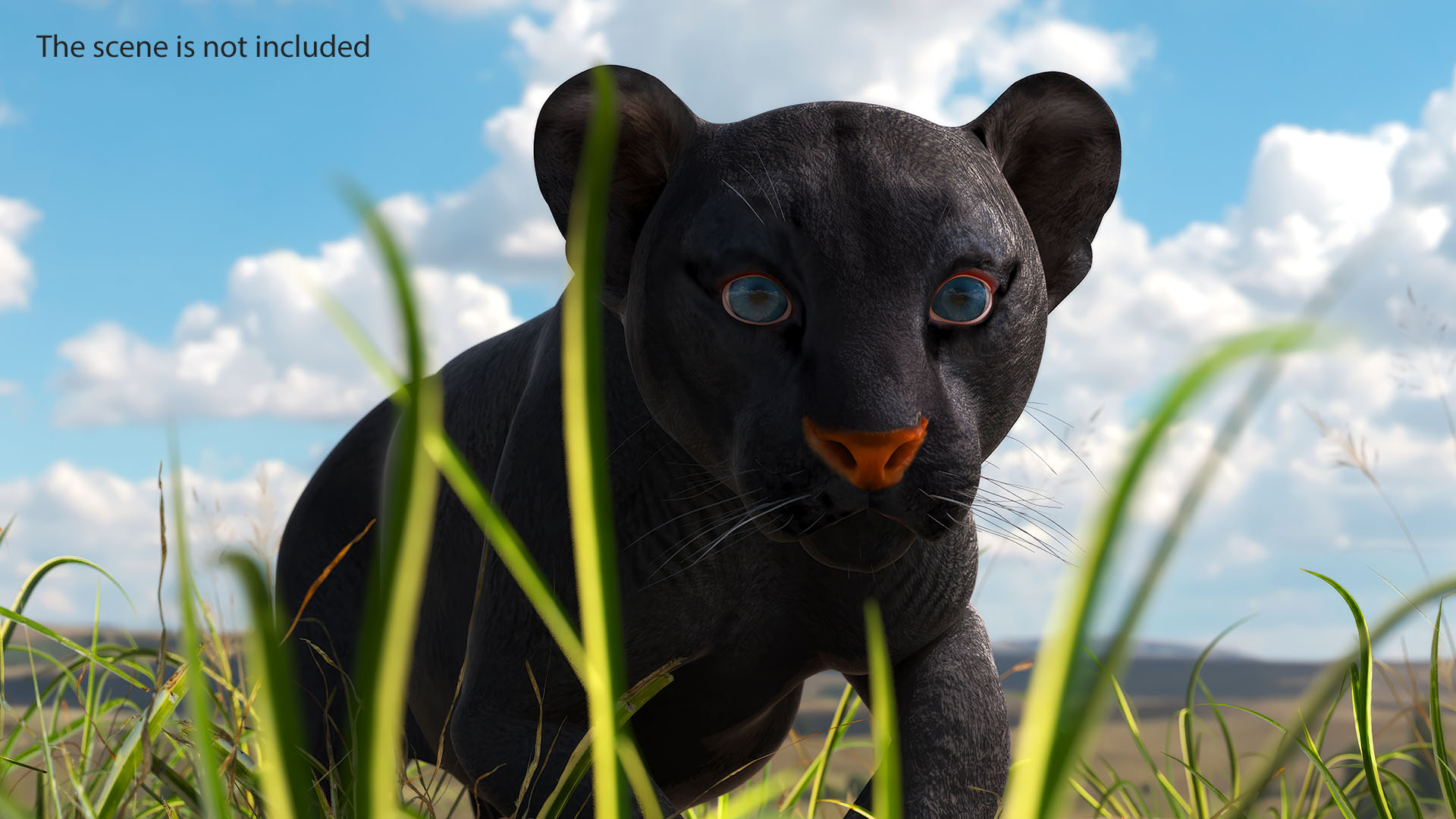 3D Black Panther Cub Sneaking Pose