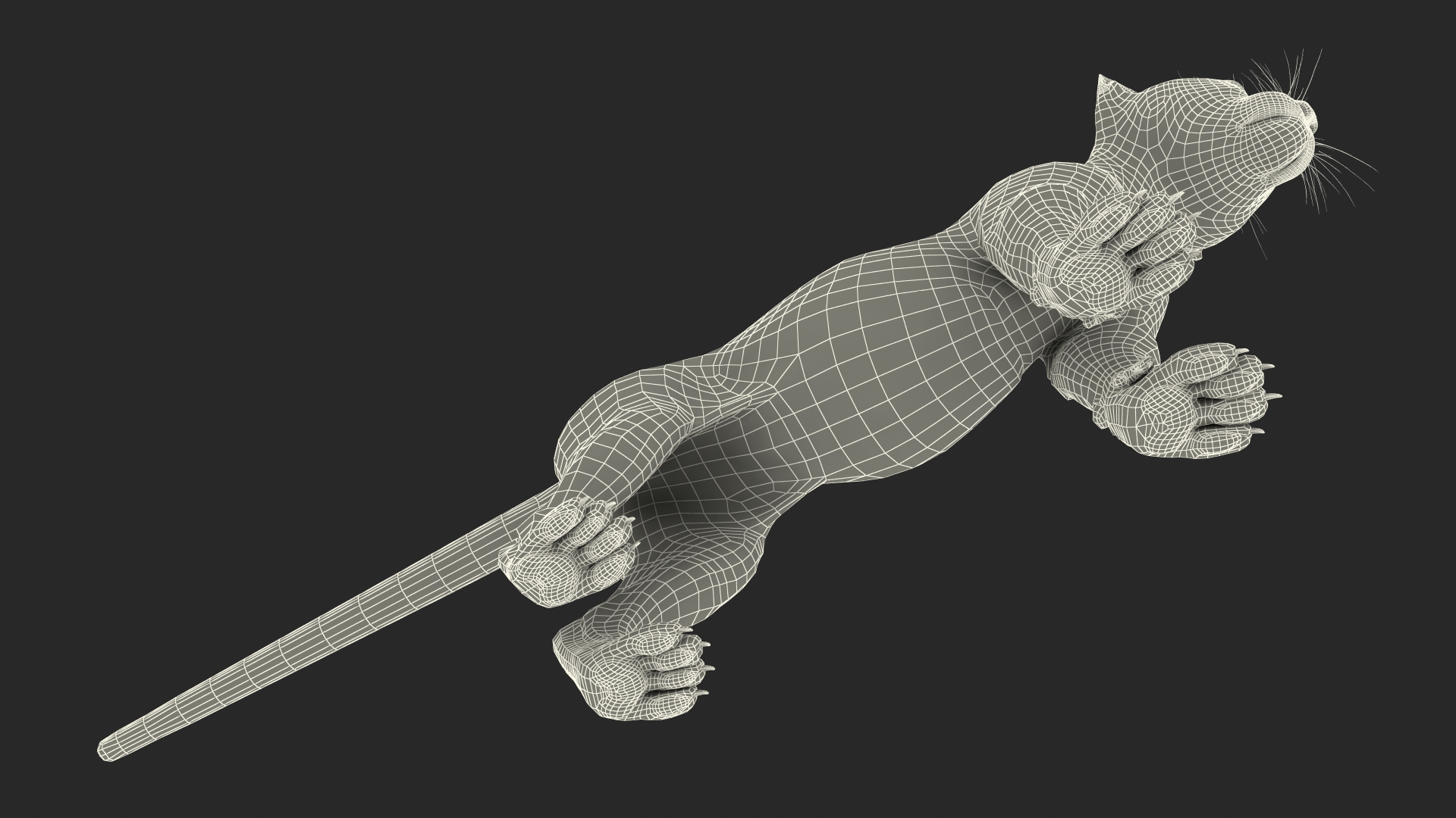 3D Snow Leopard Cub Rigged model